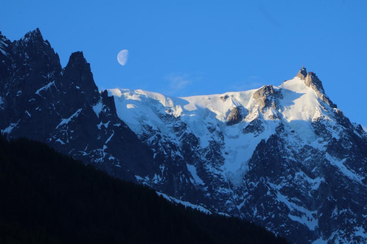Pleine Vue&spa Apartment Chamonix